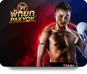 Navigating the Hi88 Top Bet User Interface Like a Pro
